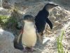 ...smile and wave!