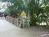 Tiger brige