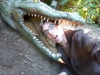Me, being an idiot. (pardon the blurriness)