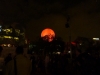 Sun behind the trees