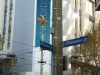 Corner of Bourke and Swanston Streets - and OMG a flying pig