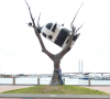 Some idiot hugging a tree, with a cow in it. What'd you expect?.