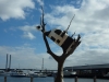A closer look at "Cow up the Tree".