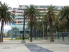 NAB building - not particularly interesting but I thought the palm trees were pretty neat.