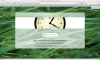 Login screen
